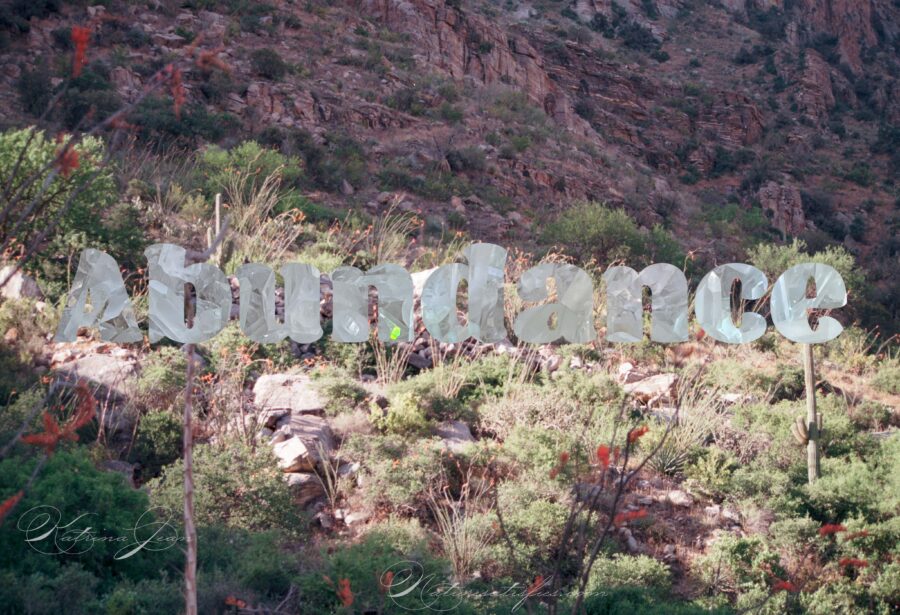 Abundance