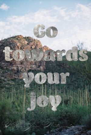 Go Towards Your Joy