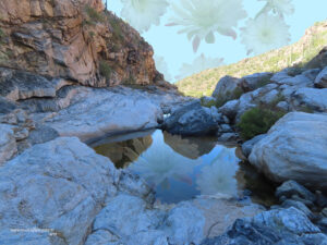 Tanque Verde Falls